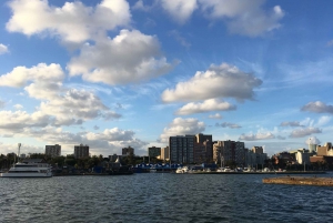 Durban: 30-Minute Harbor Boat Cruise