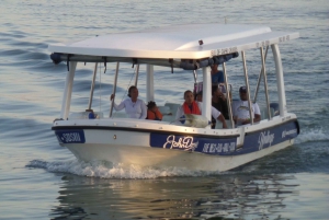 Durban: 30-Minute Harbor Boat Cruise