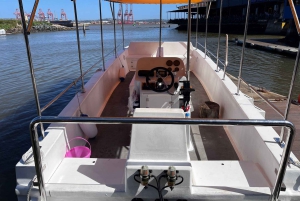 Durban: 30-Minute Harbor Boat Cruise