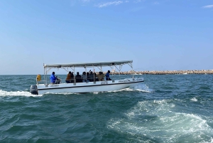 Durban: 30-Minute Harbor Boat Cruise