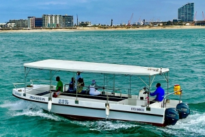 Durban: 30-Minute Harbor Boat Cruise