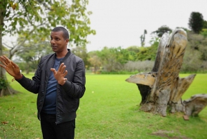 Durban : visite touristique interactive avec des locaux