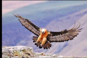 From Durban: Lesotho Highlights 4-Day Trip with Meals