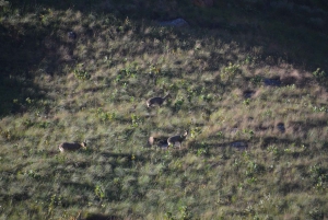 From Durban: Sani Pass and Lesotho by 4WD Vehicle