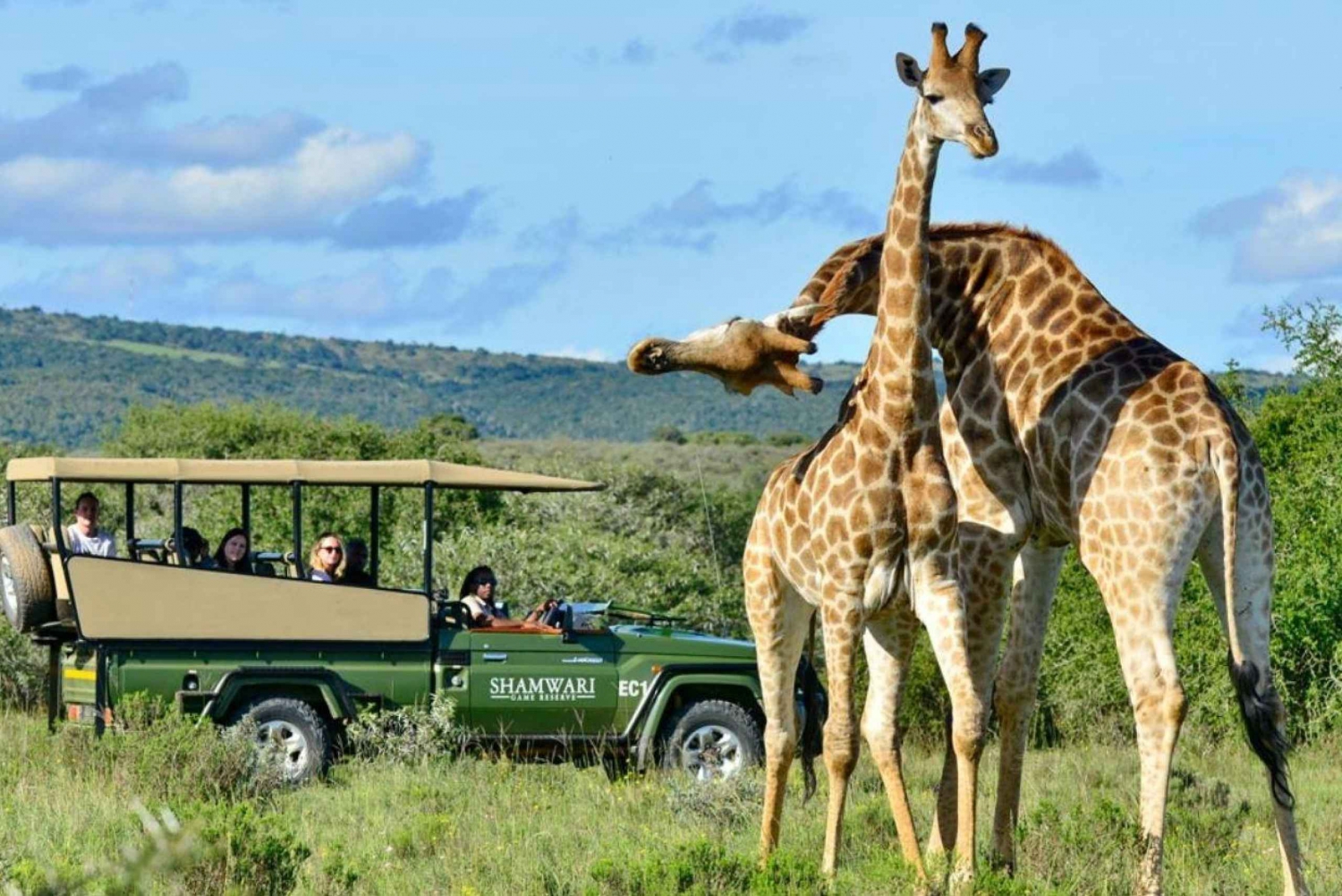 Phezulu Safaripark & Mandela Capture Site Halvdagstur