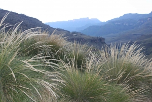Passagem de Sani: Excursão de um dia a partir de Durban