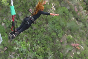 2-dagers Garden Route-tur med strikkhopp, zipline og haidykking