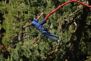 2-dagers Garden Route-tur med strikkhopp, zipline og haidykking