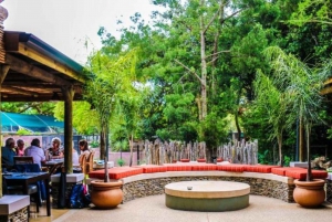 Wycieczka po trasie ogrodowej do Kapsztadu [5 dni]: Port Elizabeth