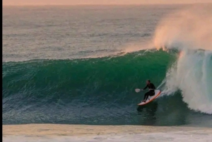 Wycieczka po trasie ogrodowej do Kapsztadu [5 dni]: Port Elizabeth