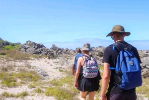 Wycieczka po trasie ogrodowej do Kapsztadu [5 dni]: Port Elizabeth