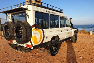 Addo Elephant National Park All Inclusive Full-Day Safari