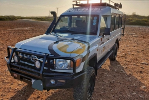 Addo Elephant National Park All Inclusive Full-Day Safari