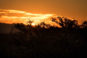 Addo Elephant National Park All Inclusive Full-Day Safari