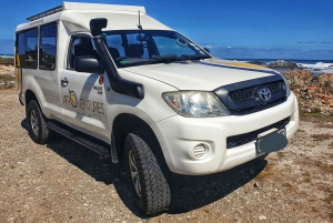 Addo Elephant National Park All Inclusive Full-Day Safari