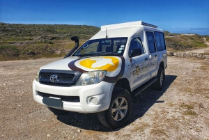 Addo Elephant National Park All Inclusive Full-Day Safari