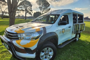 Addo Elephant National Park All Inclusive Full-Day Safari