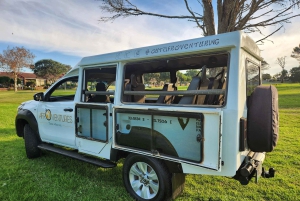 Addo Elephant National Park All Inclusive Full-Day Safari