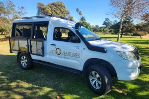 Addo Elephant National Park All Inclusive Full-Day Safari