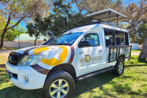 Addo Elephant National Park All Inclusive Full-Day Safari