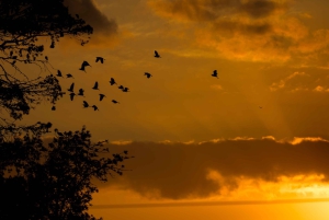 Addo Elephant National Park All Inclusive Full-Day Safari