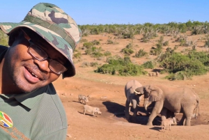 Park Narodowy Addo Elephant: przejażdżka i grill!