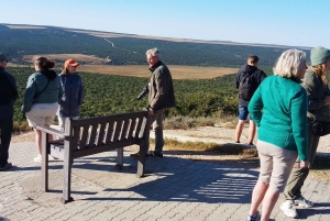 Park Narodowy Addo Elephant: przejażdżka i grill!