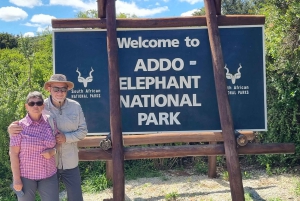 Park słoni Addo – prywatna półdniowa wycieczka (pojazd terenowy 4x4)