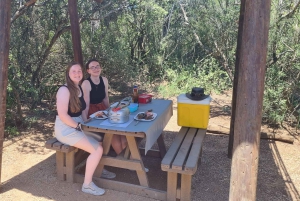 Park słoni Addo – prywatna półdniowa wycieczka (pojazd terenowy 4x4)