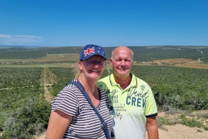 Park słoni Addo – prywatna półdniowa wycieczka (pojazd terenowy 4x4)