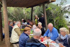 Экскурсии по заповеднику слонов Аддо. Целый день