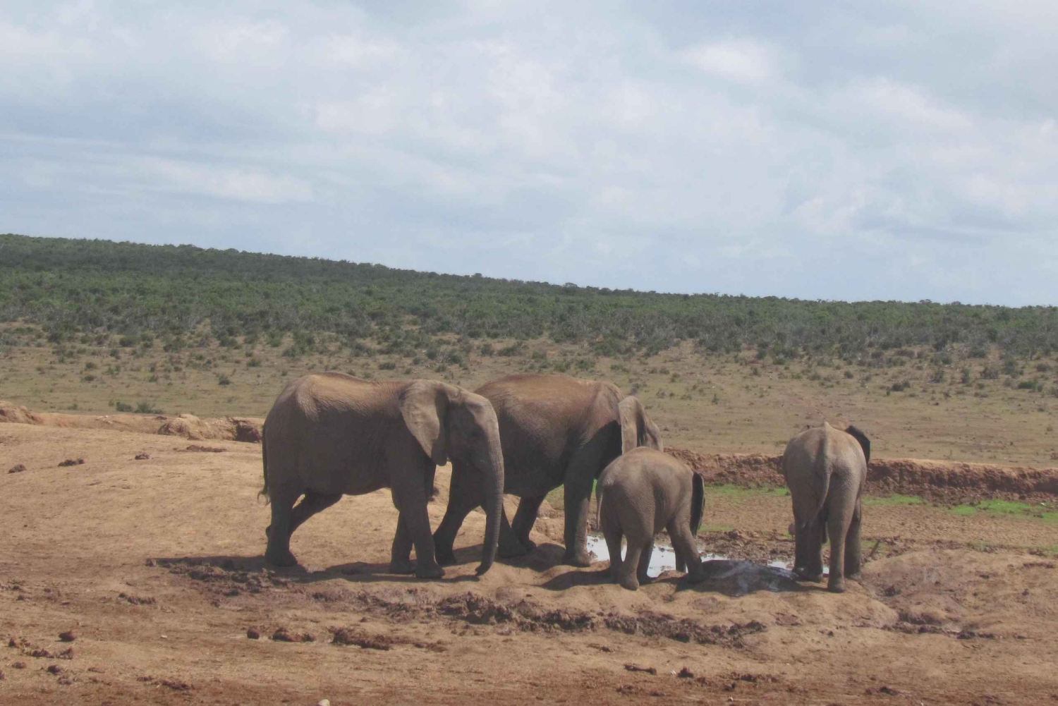 АДДО ГЕЙМ ДРАЙВ
