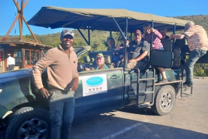 ADDO NATIONAL Park & SCHOTIA Day SAFARI with Lunch