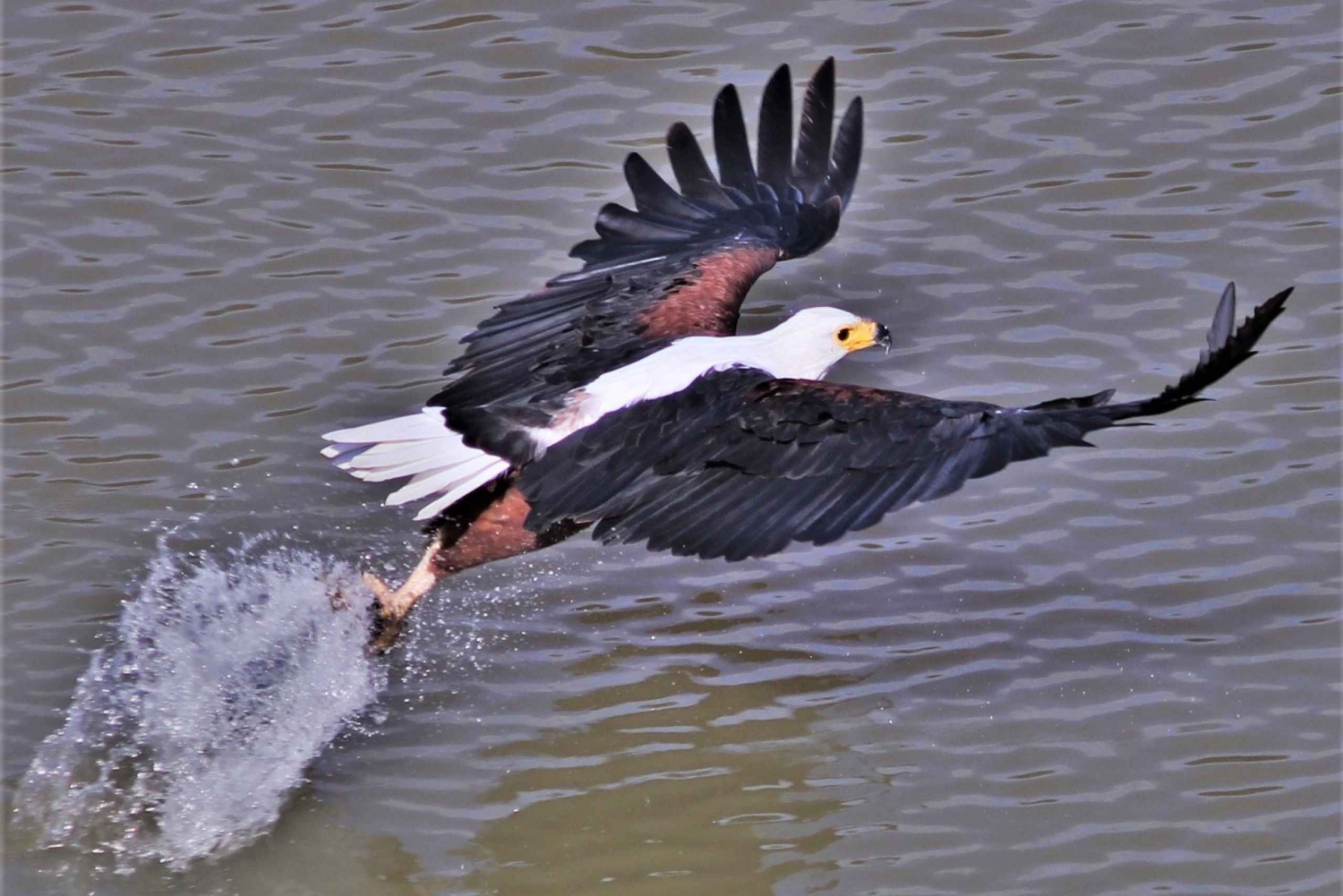 Сафари по реке Аддо - экскурсия на каноэ