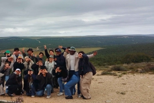 ADDO NATIONAL Park & SCHOTIA Day SAFARI with Lunch