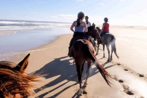 Кейптаун: 10-дневный тур по Гарден-Рут, винодельческим регионам и Кейп-Пойнт