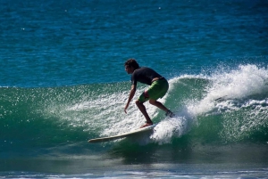 Кейптаун: 10-дневный тур по Гарден-Рут, винодельческим регионам и Кейп-Пойнт