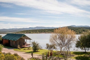 Кейптаун: 10-дневный тур по Гарден-Рут, винодельческим регионам и Кейп-Пойнт