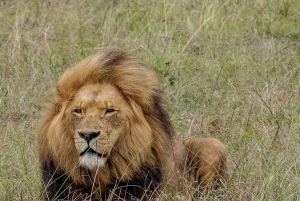 Кейптаун: 10-дневный тур по Гарден-Рут, винодельческим регионам и Кейп-Пойнт