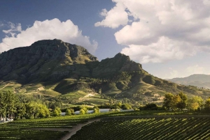 Кейптаун: 10-дневный тур по Гарден-Рут, винодельческим регионам и Кейп-Пойнт