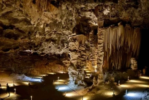 Garden Route i safari słoni w Addo [5 dni]: Kapsztad