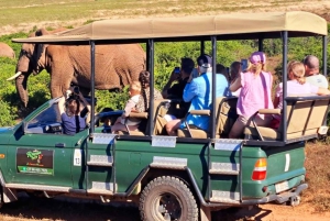 Garden Route i safari słoni w Addo [5 dni]: Kapsztad