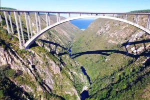 Garden Route i safari słoni w Addo [5 dni]: Kapsztad