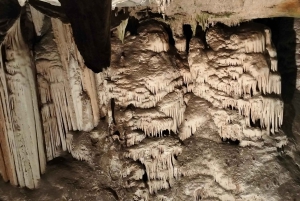 Garden Route i safari słoni w Addo [5 dni]: Kapsztad