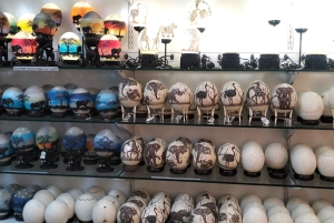 Garden Route i safari słoni w Addo [5 dni]: Kapsztad