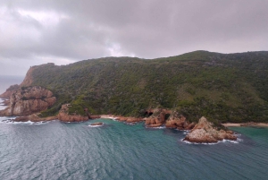 Garden Route i safari słoni w Addo [5 dni]: Kapsztad