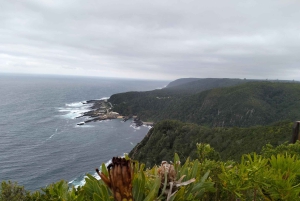 Garden Route i safari słoni w Addo [5 dni]: Kapsztad