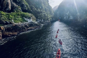 Garden Route i safari słoni w Addo [5 dni]: Kapsztad