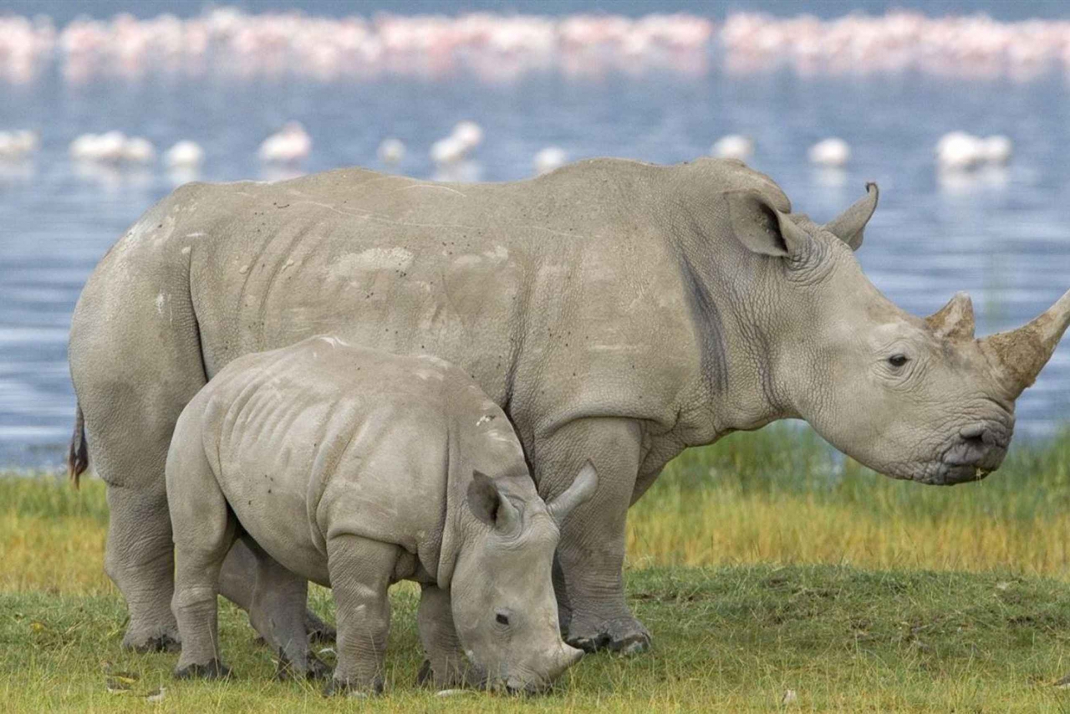 Kapstadt und Garden Route Tour mit Unterkunft in 8 Tagen