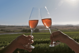 Città del Capo: Tour di un giorno nelle Winelands con degustazioni di vino e cibo